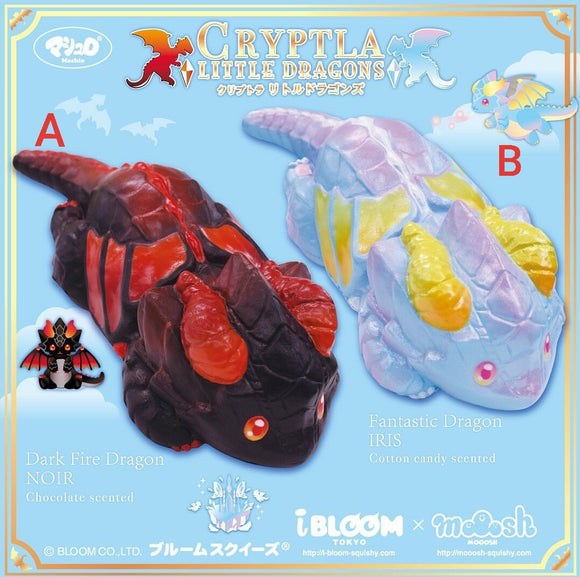 Cryptla Little Dragons