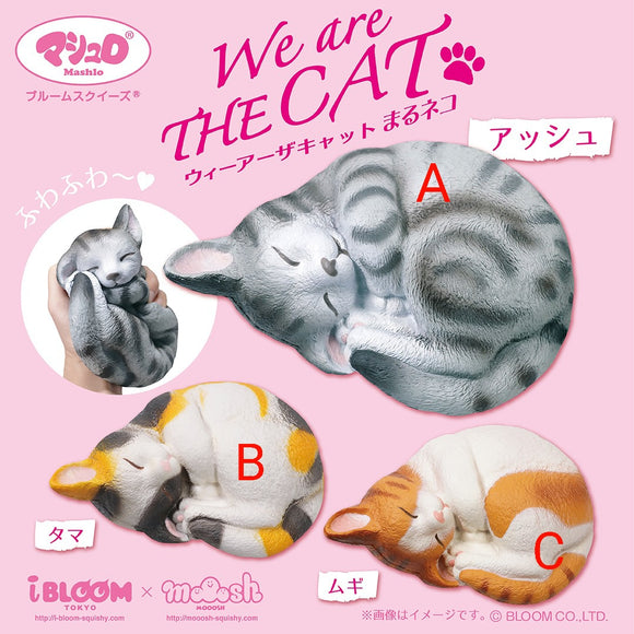 Curled We Are Cat (SAMPLE)