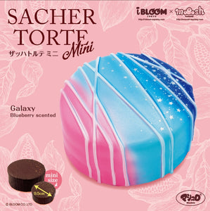 Mini Galaxy Sacher Torte